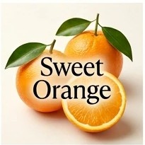 Sweet Orange