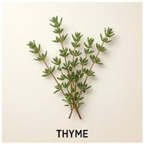 Thyme
