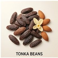 Tonka Bean (overdose)