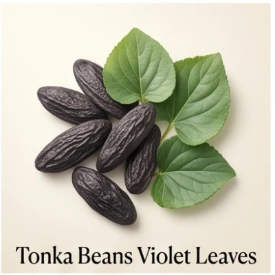 Tonka Beans Violet Leaves