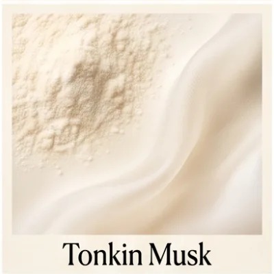 Tonkin Musk