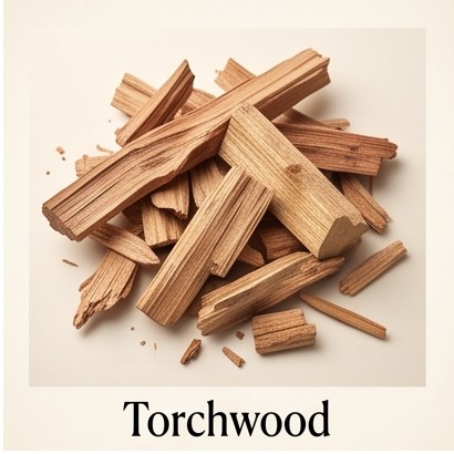 Torchwood