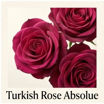 Turkish Rose Absolue