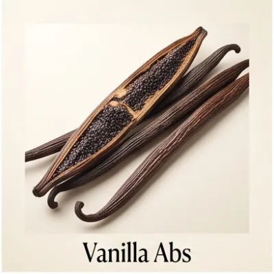 Vanilla Abs