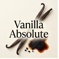 Vanilla Absolute
