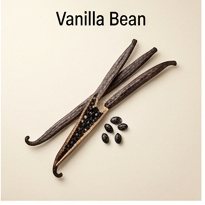 Vanilla Bean