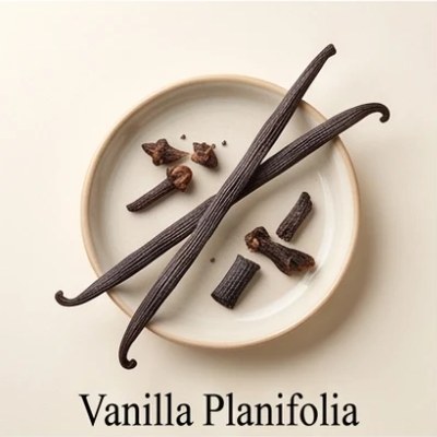 Vanilla Planifolia