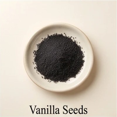 Vanilla Seeds