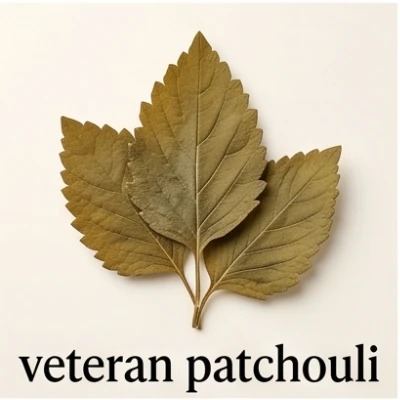 Veteran Patchouli