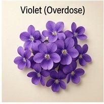 Violet (overdose)