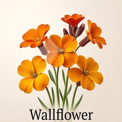 Wallflower