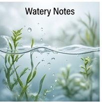 Watery Notes