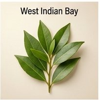 West Indian Bay
