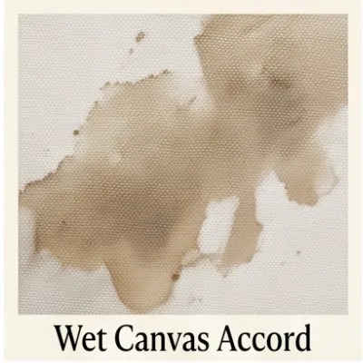 Wet Canvas Accord