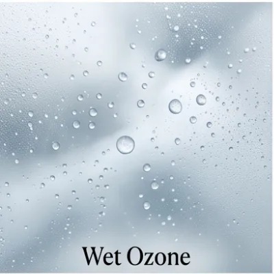 Wet Ozone