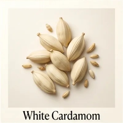 White Cardamom