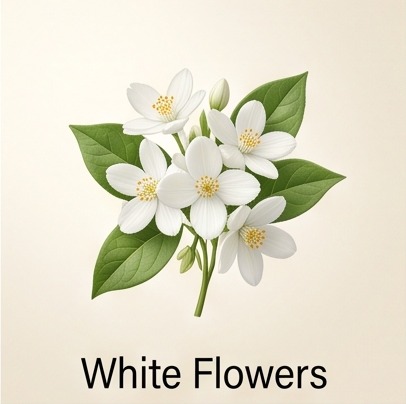 White Flowers