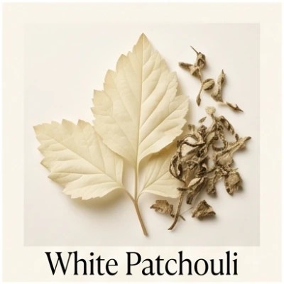 White Patchouli