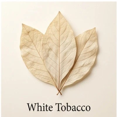 White Tobacco