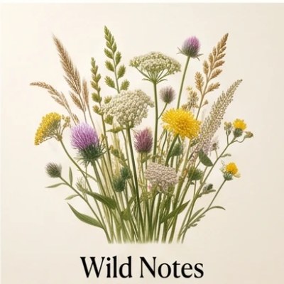 Wild Notes