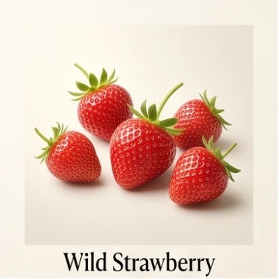 Wild Strawberry
