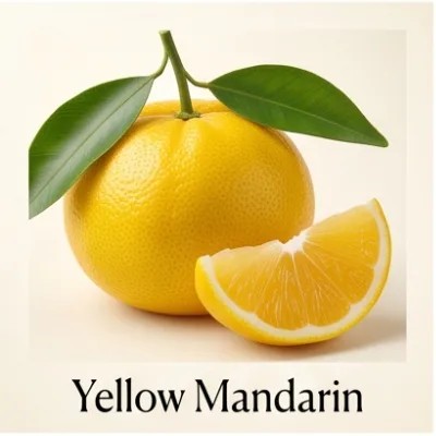 Yellow Mandarin