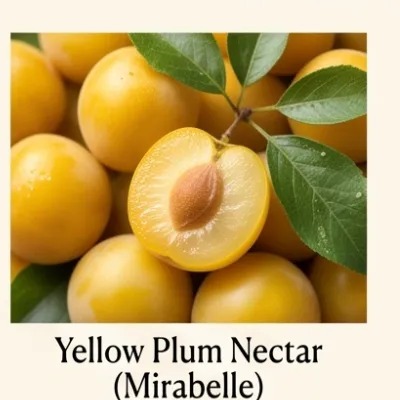 Yellow Plum Nectar (Mirabelle)