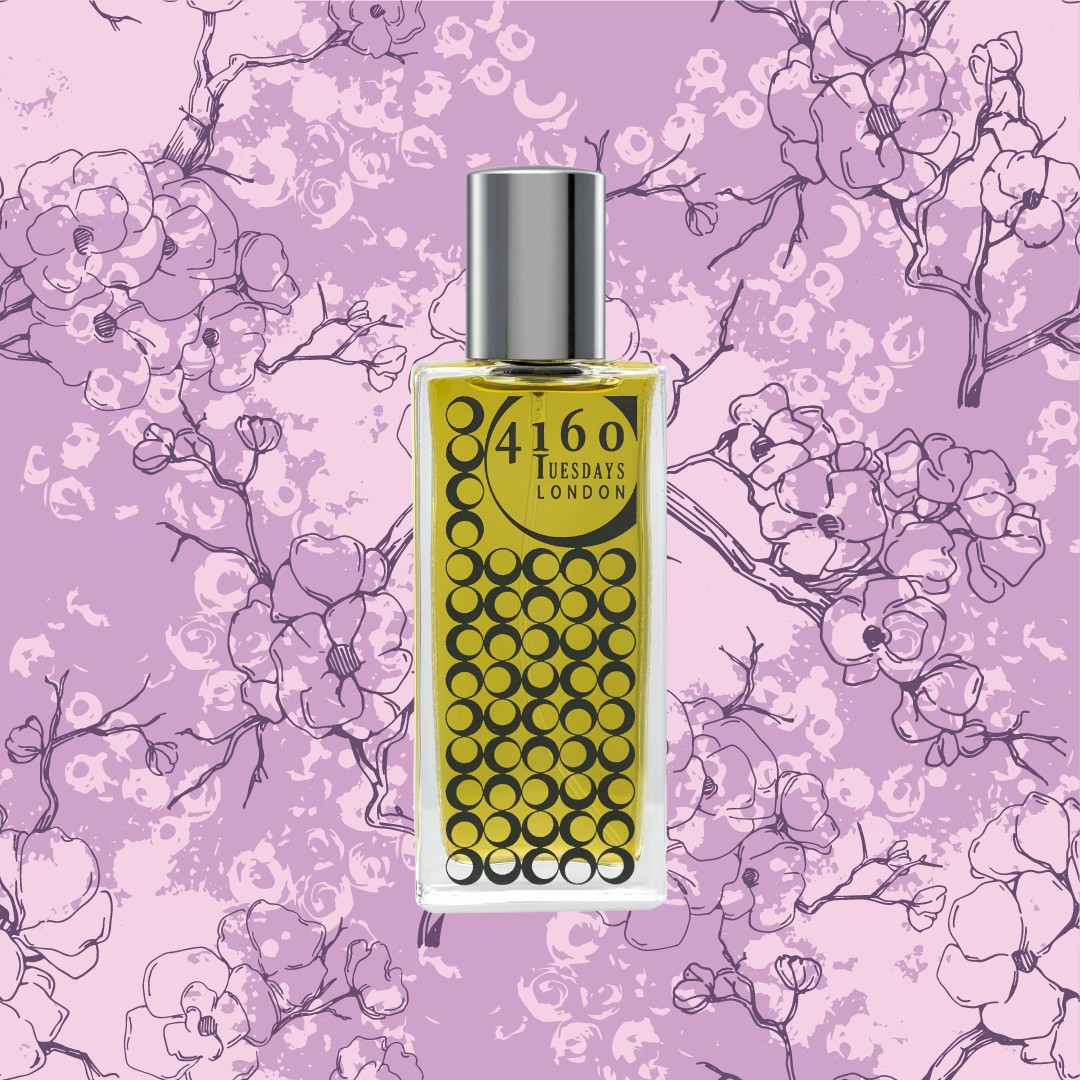 Tokyo Spring Blossom