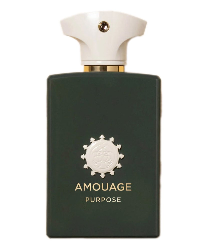 Purpose Capitolo III
