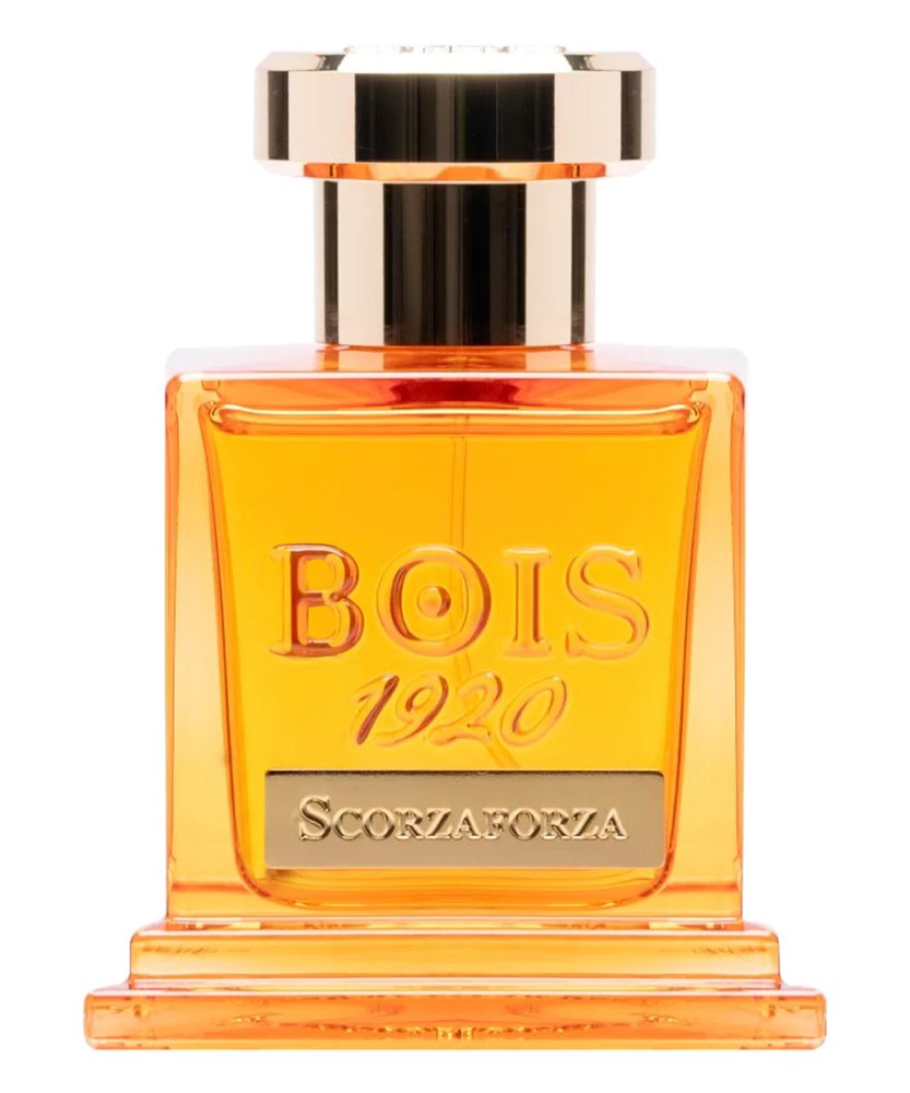 Scorzaforza