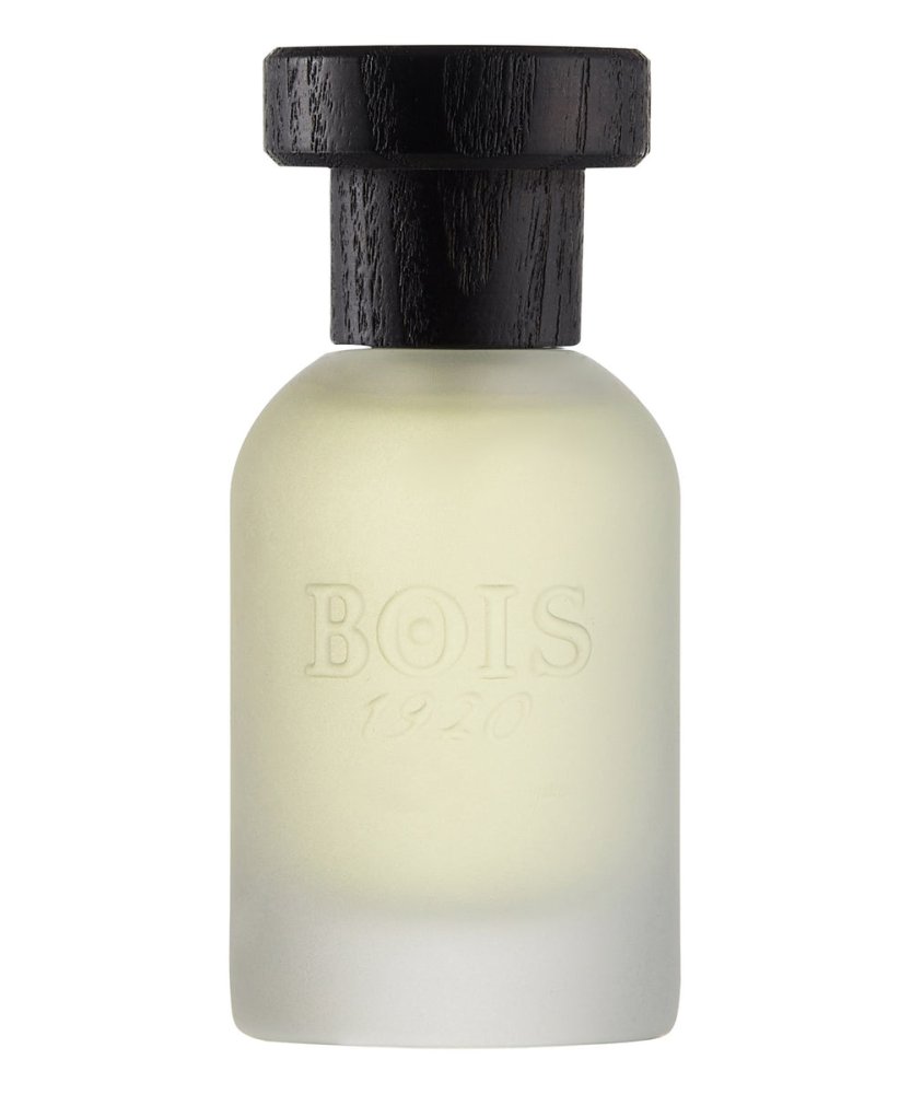 Vetiver Ambrato