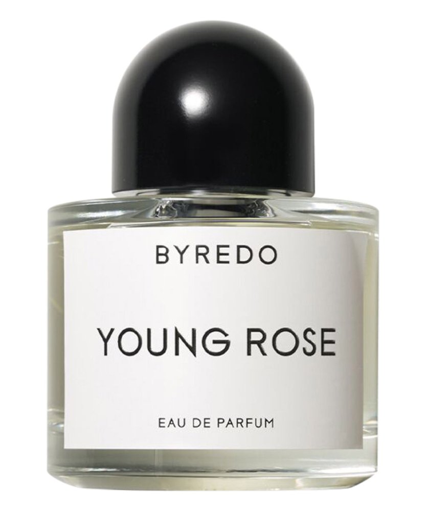 Young Rose