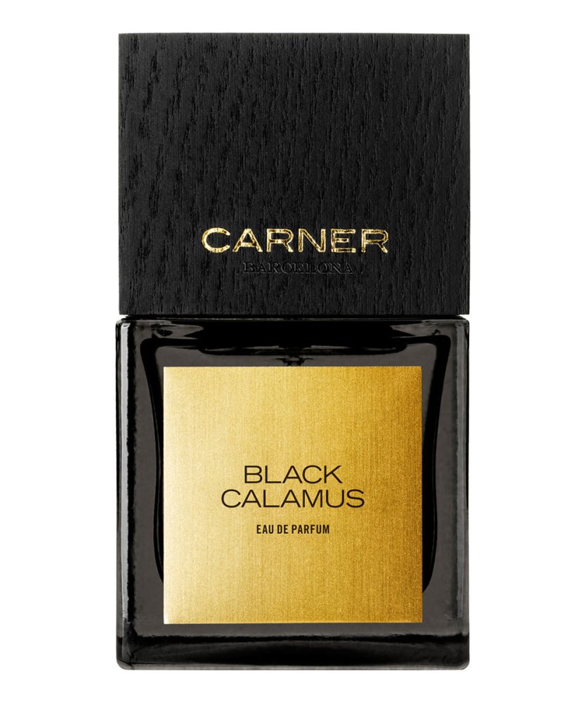 Black Calamus