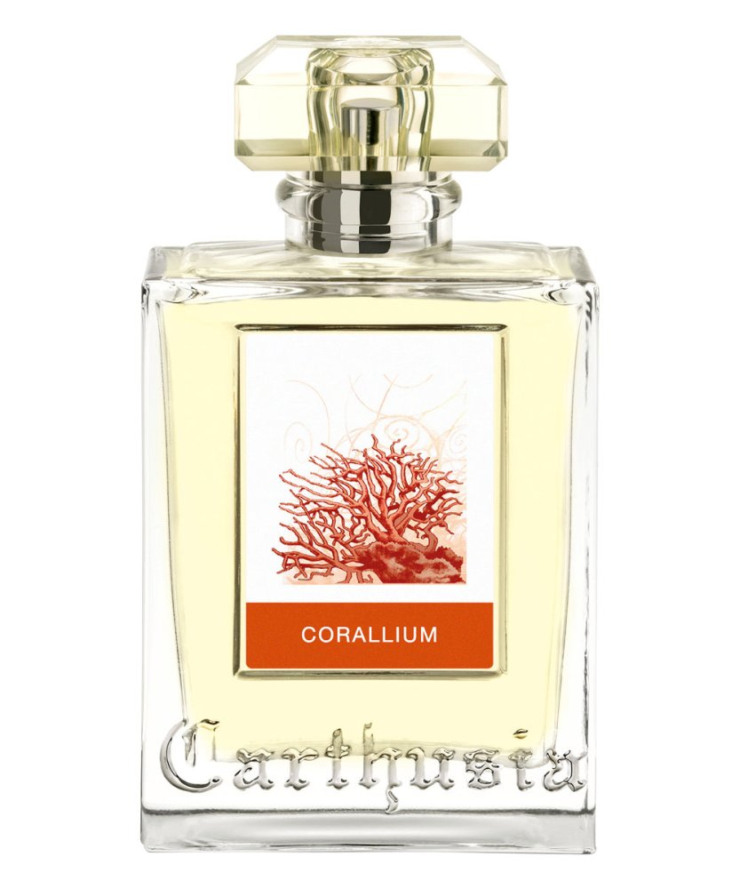 Corallium