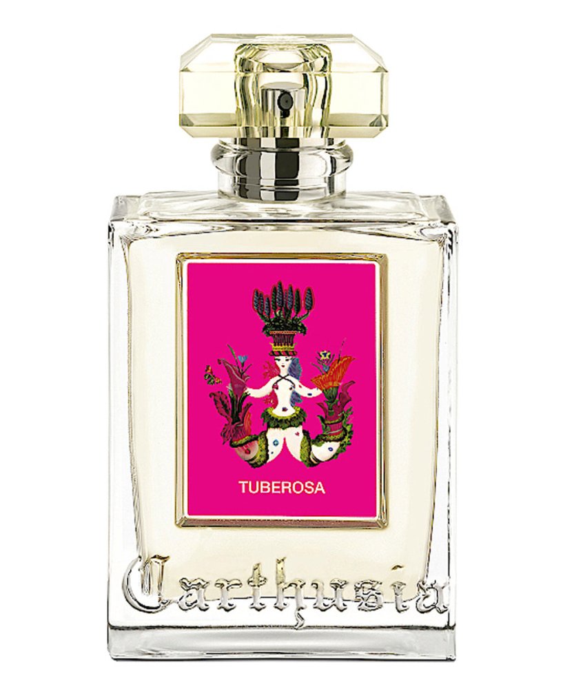 Tuberosa