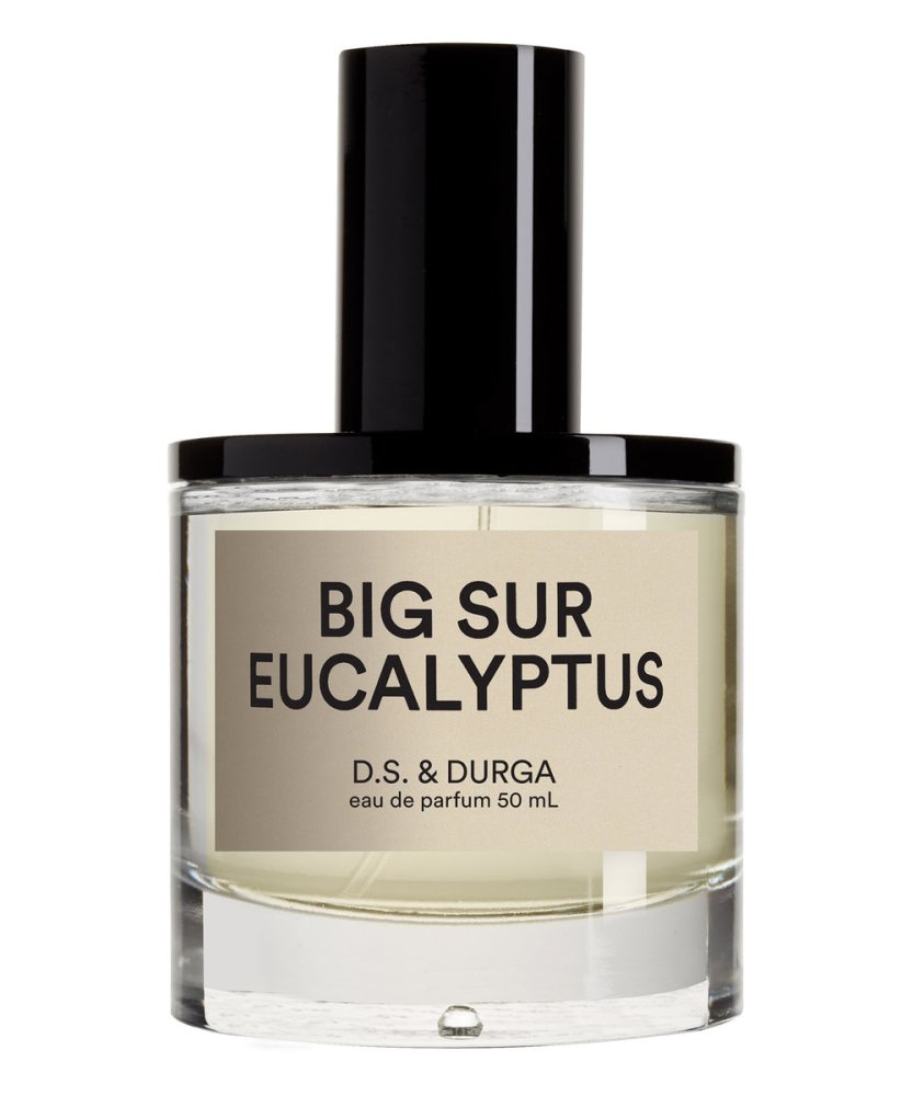 Big Sur Eucalyptus
