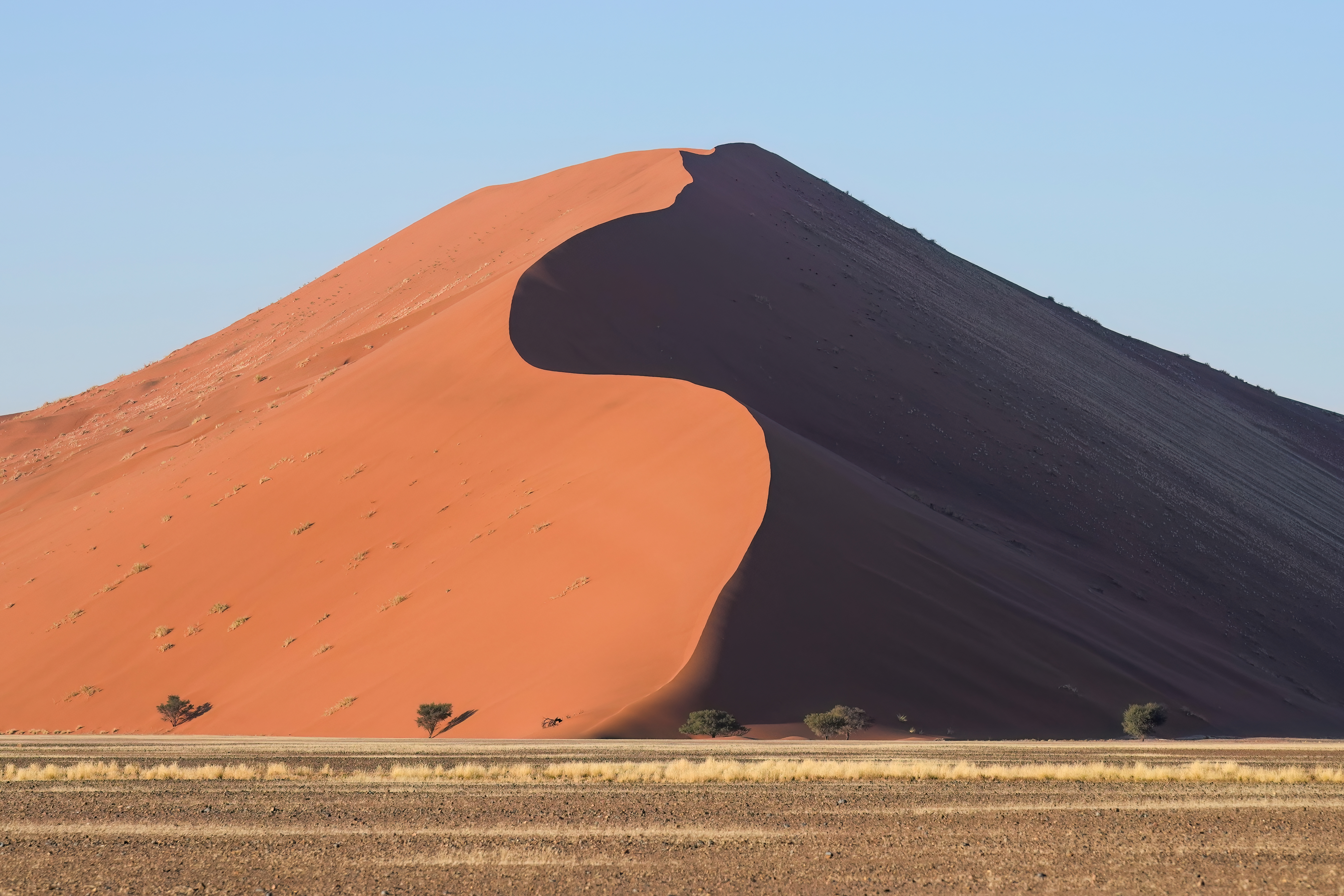 Dune