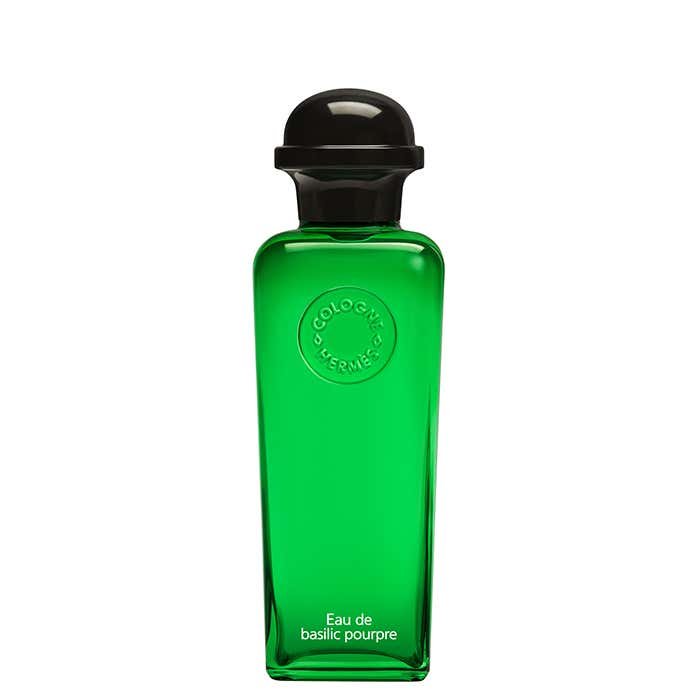 Basilic Pourpre
