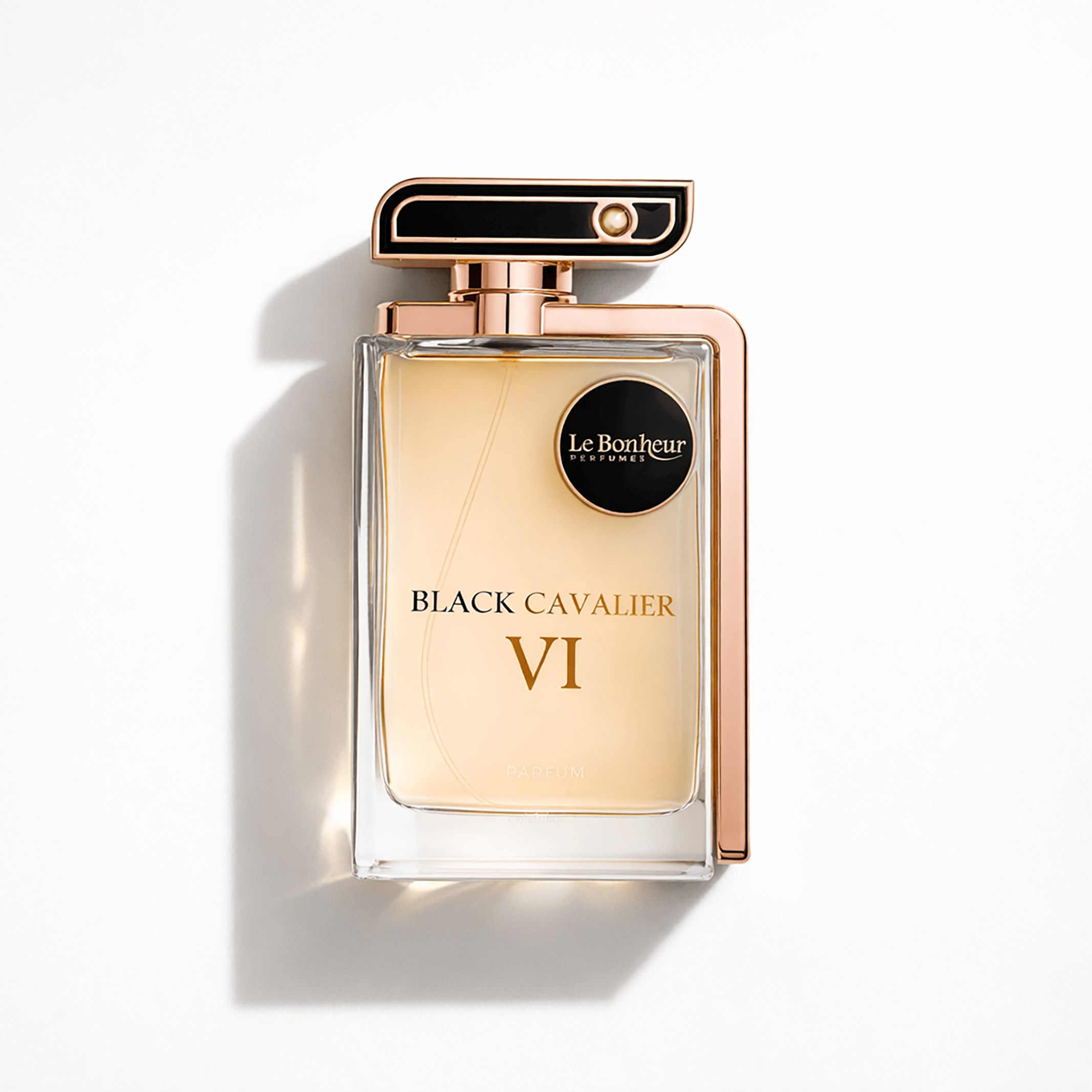 Black Cavalier VI