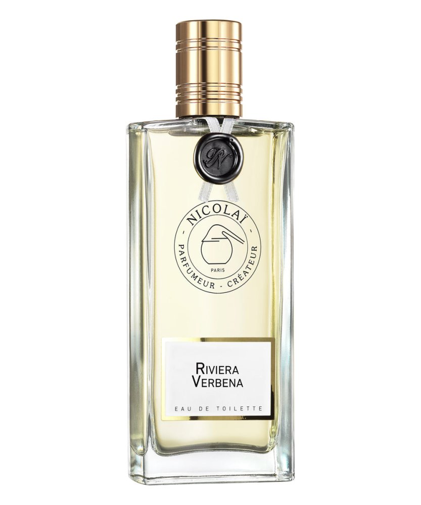 Riviera Verbena