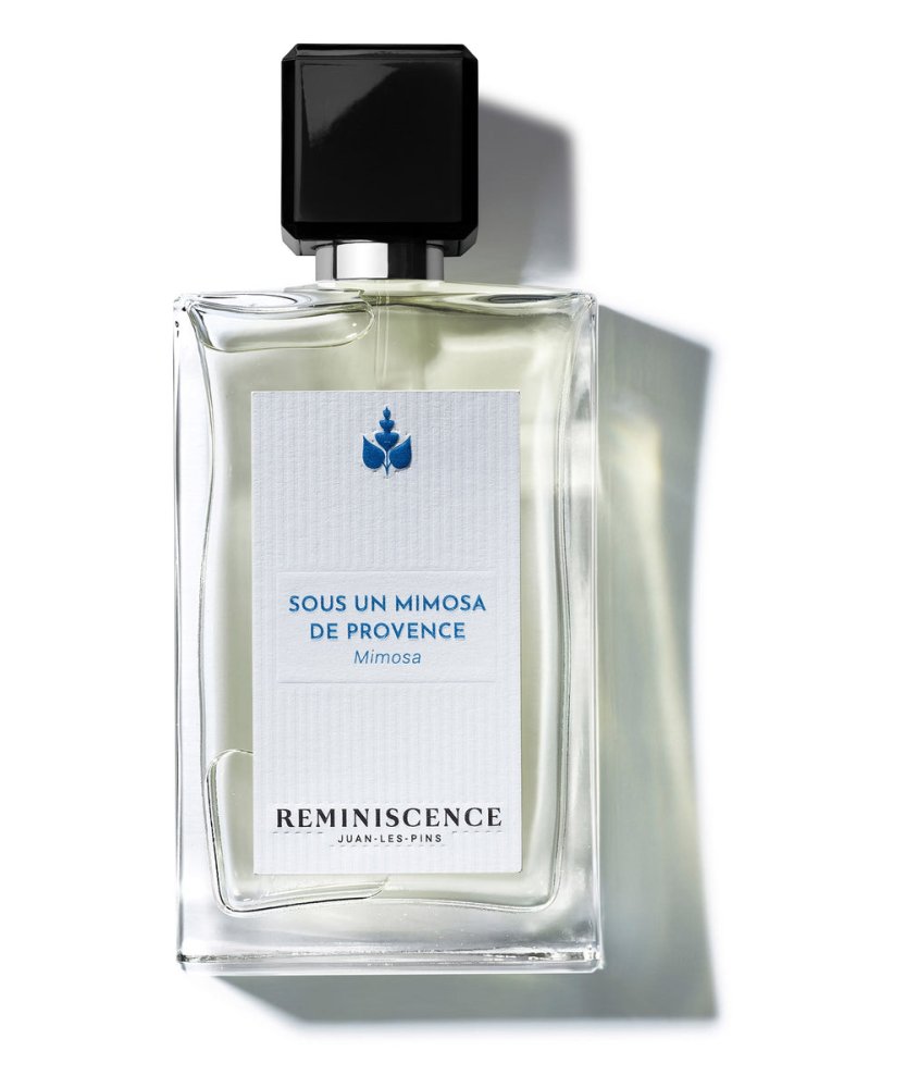 Sous un Mimosa de Provence Intense