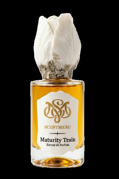 Maturity Train