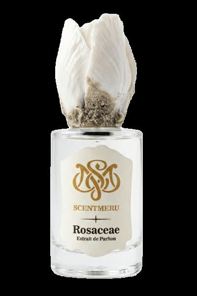 Rosaceae