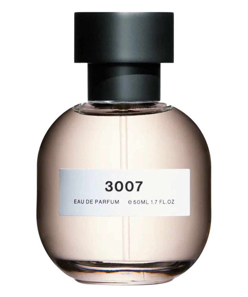 3007