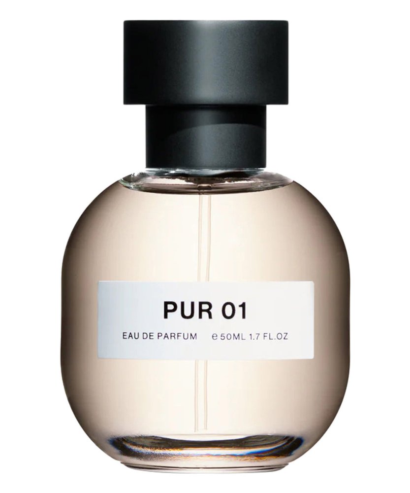 Pur 01