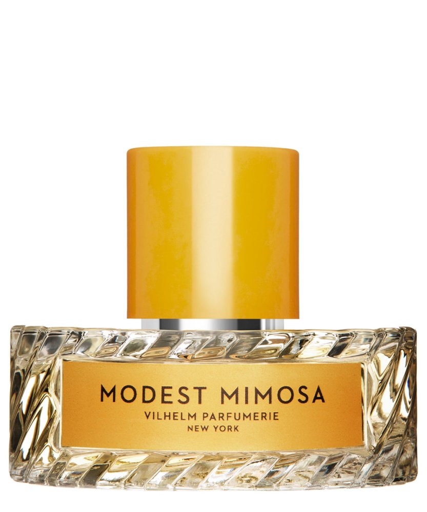 Modest Mimosa