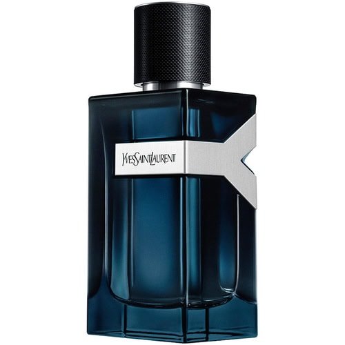 YSL Y Intense